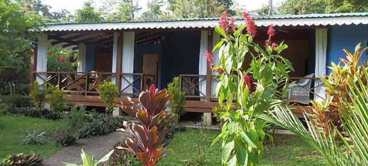 海上阳光旅馆(Hotel Casitas Mar y Luz)图片