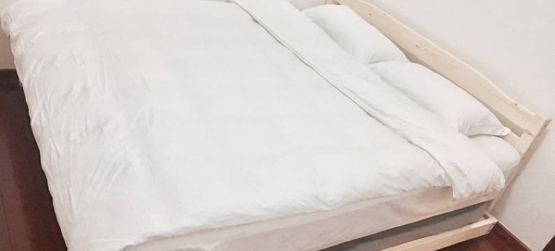 曾曾zz度假别墅(同集南路分店)图片