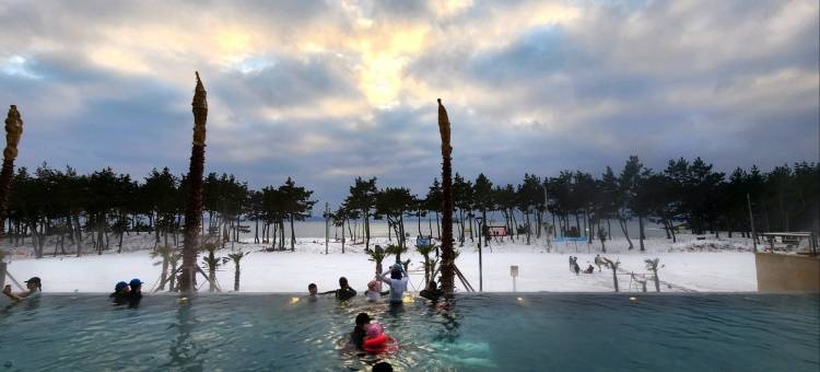 慈恩岛温德姆华美达广场酒店(Ramada Plaza by Wyndham Jaeun)图片