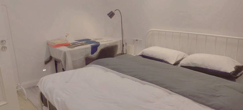 上海一棵葡萄树Zz公寓(云鹃路分店)图片