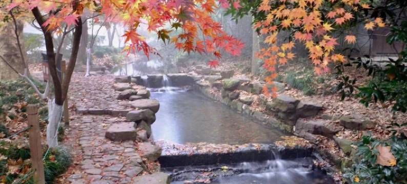 沐曦民宿(满觉陇路1号分店)图片