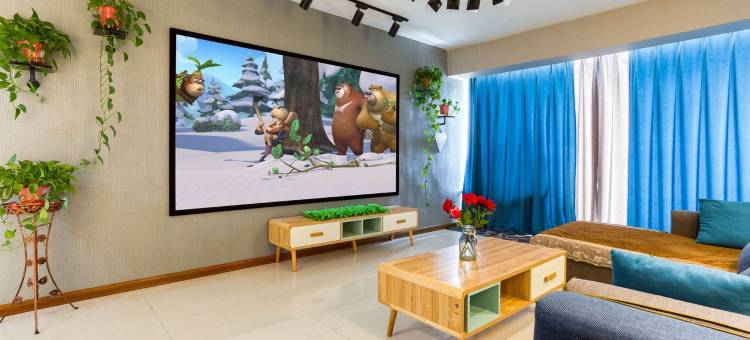 青林豪华民宿(文化路2号分店)图片