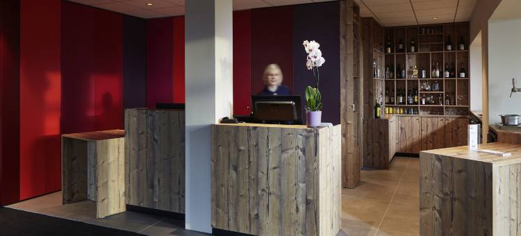 科尔玛诺多宜必思尚品酒店(Ibis Styles Colmar Nord)图片