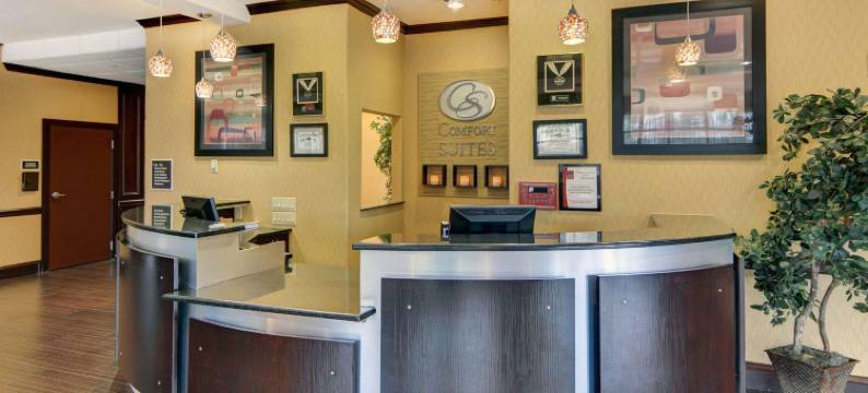 基尔戈舒适套房酒店(Comfort Suites Kilgore)图片