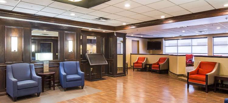 市中心舒适酒店(Comfort Inn Downtown)图片
