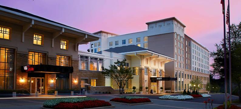 凯悦酒店亚特兰大周边克里斯蒂娜别墅(Hyatt Regency Atlanta Perimeter Villa Christina)图片