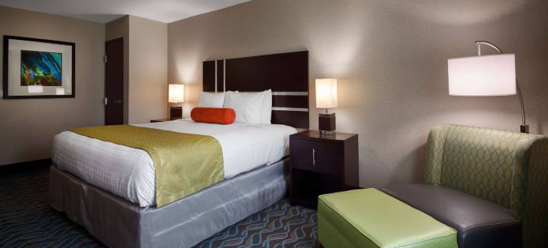 哈尔德维尔贝斯特韦斯特优质套房酒店(Best Western Plus Hardeeville Inn  Suites)图片