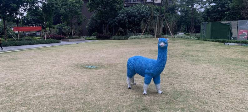 木瓜小院(长虹路分店)图片