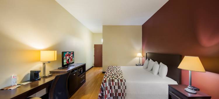 亨德森维尔红屋顶酒店(Red Roof Inn Hendersonville)图片