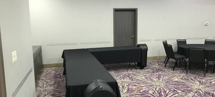 智选假日套房酒店加兰东(Holiday Inn Express & Suites Garland E - Lake Hubbard I30)图片