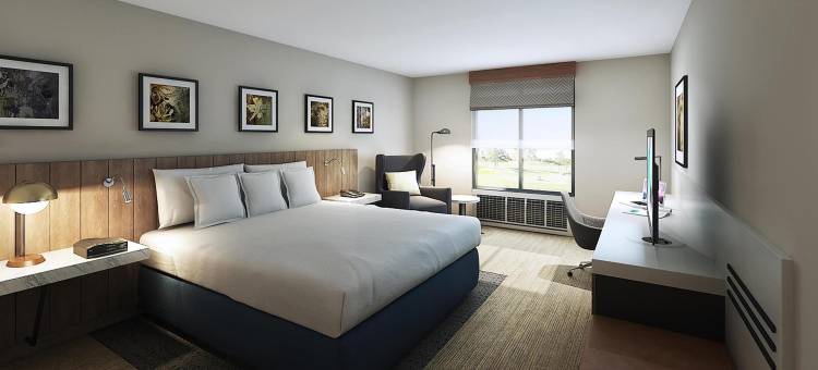 杰克逊希尔顿花园酒店(Hilton Garden Inn Jackson)图片