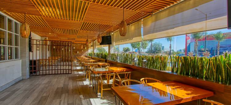 Holiday Inn 莱昂 - 会展中心(Holiday Inn Leon-Convention Center)图片