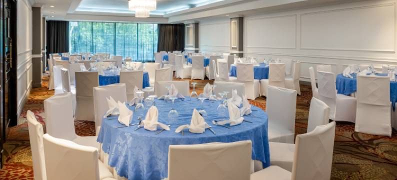 Crowne Plaza 巴拿马城(Crowne Plaza PANAMA by IHG)图片