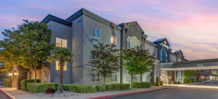 葡萄园贝斯特韦斯特优质酒店(Best Western Plus Vineyard Inn)图片