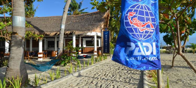 进化度假村 '(Evolution Dive and Beach Resort)图片
