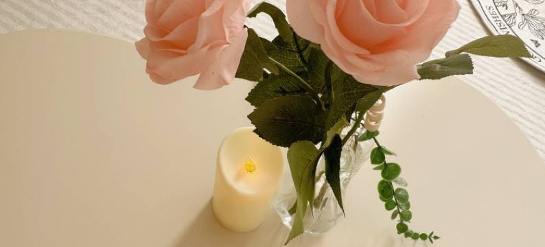 房东枭野公寓(希望路分店)图片