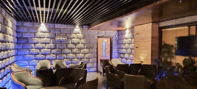 绍尔亚酒店(The Shaurya)图片