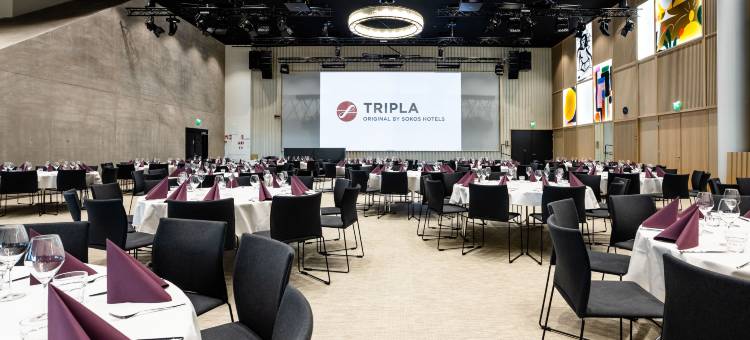 特里普拉原始索科斯酒店(Original Sokos Hotel Tripla)图片