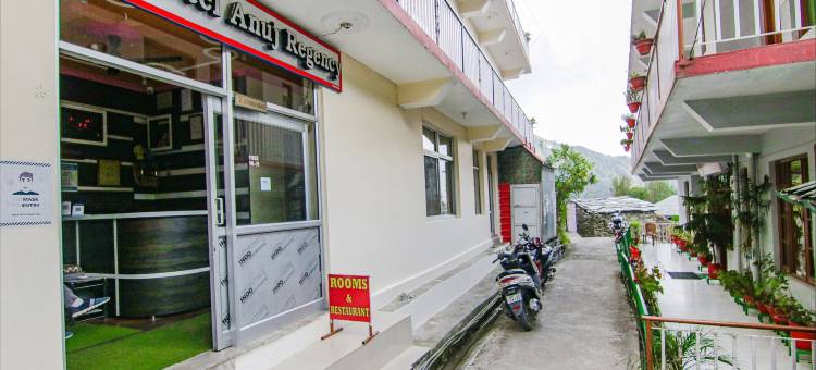 阿努吉摄政酒店(Hotel Anuj Regency)图片