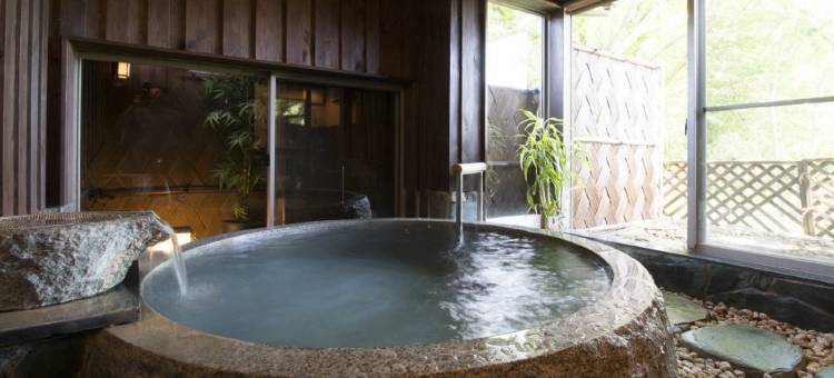 新木矿泉旅馆(Araki Kousen Ryokan (Japanese-Style Hotel))图片