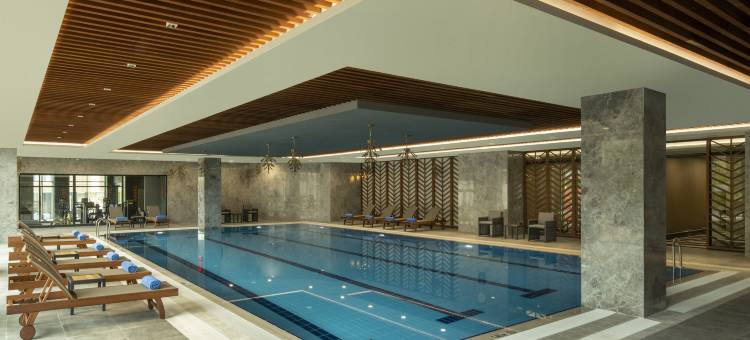里昂欧洲博览馆希尔顿逸林酒店及度假村(Doubletree by Hilton Lyon Eurexpo)图片