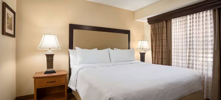 达拉斯中央公园Homewood Suites by Hilton(Homewood Suites by Hilton Dallas - Park Central Area)图片