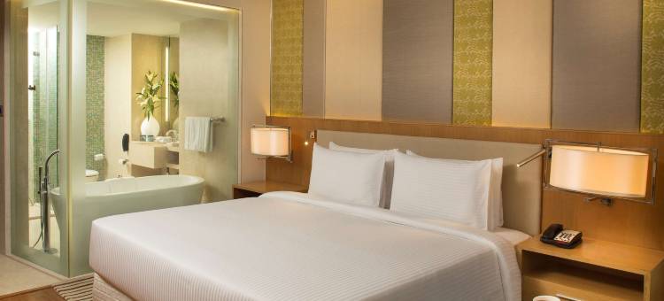 古瓦哈蒂丽笙酒店(Radisson Blu Hotel Guwahati)图片