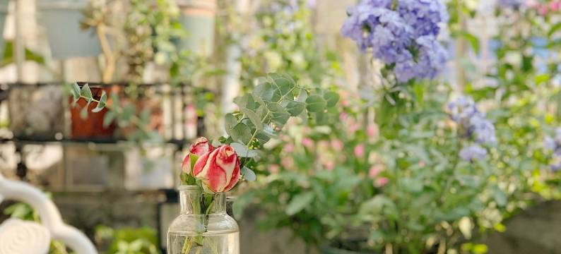 漫漫设计师4店民宿(大业路分店)图片