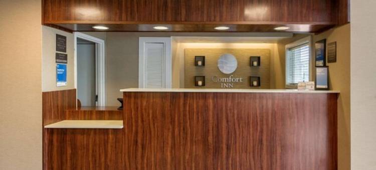 Comfort Inn Boston图片