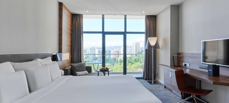 索契中心铂尔曼酒店(Pullman Sochi Centre)图片