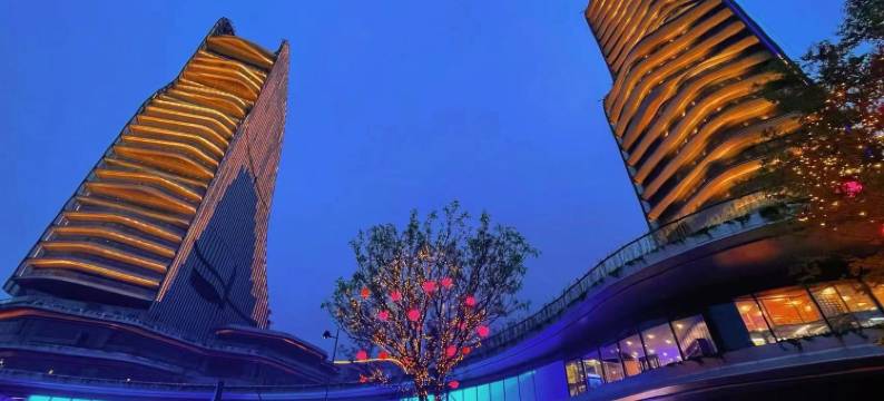 丽水玥庭兰舍民宿图片