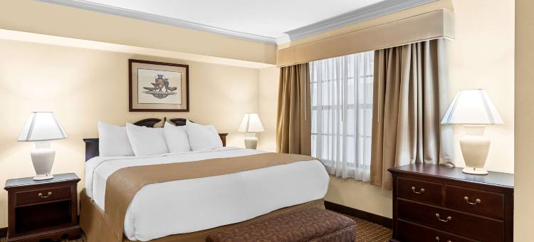 森林贝斯特韦斯特酒店(Best Western Forest Inn)图片