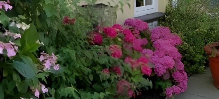 普劳旅馆(The Plough Inn)图片