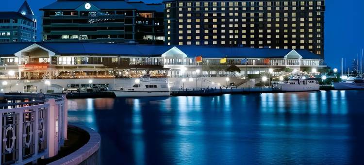 坦帕海滨威斯汀酒店(The Westin Tampa Waterside)图片