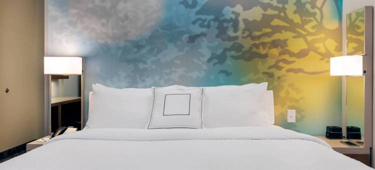 萨凡纳机场万怡酒店(Courtyard Savannah Airport)图片