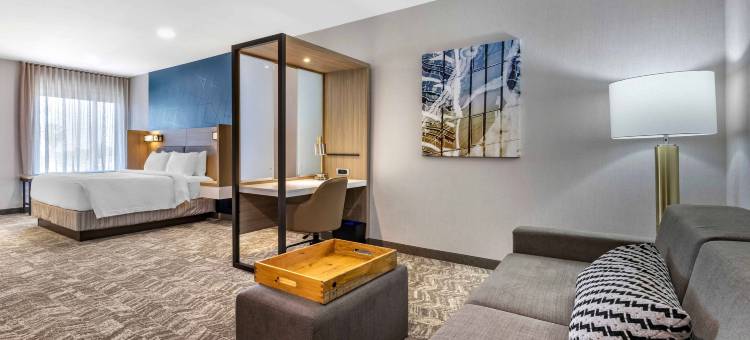 阿纳海姆普拉森舍/富勒顿SpringHill Suites酒店(SpringHill Suites Anaheim Placentia/Fullerton)图片