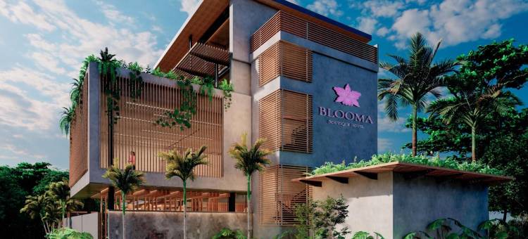 布鲁玛精品酒店及犹太餐厅(Blooma Boutique Hotel & Kosher Restaurant)图片