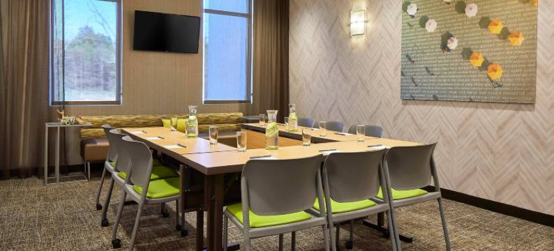 夏洛特卡罗温兹万豪SpringHill Suites酒店(SpringHill Suites Charlotte at Carowinds)图片