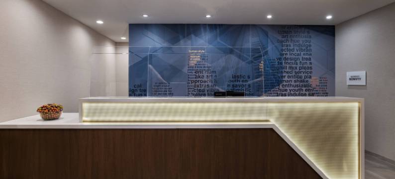 达拉斯理查森大学区SpringHill Suites酒店(SpringHill Suites Dallas Richardson/University Area)图片