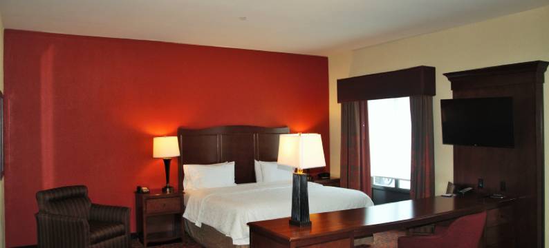 辛辛那提上城大学区欢朋套房酒店(Hampton Inn & Suites Cincinnati/Uptown-University Area)图片