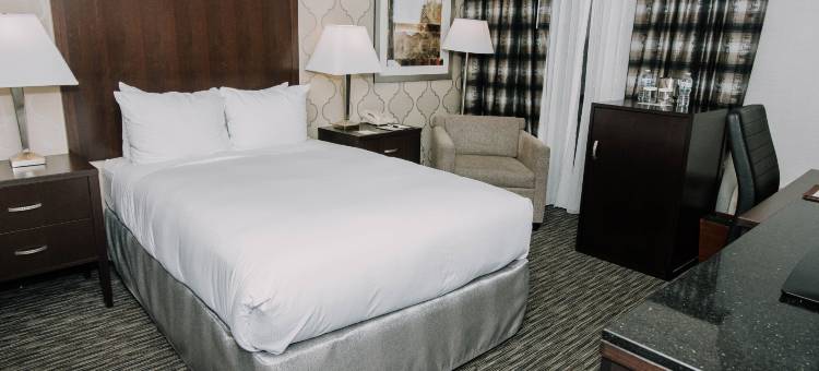 底特律迪尔伯恩希尔顿逸林酒店(DoubleTree by Hilton Detroit - Dearborn)图片