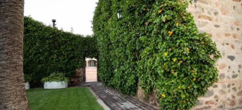 Alojamiento Rural Finca Barral图片