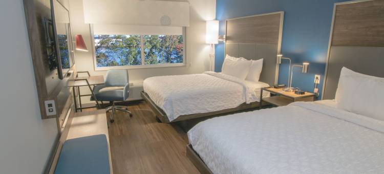 弗吉尼亚诺福克机场希尔顿Tru酒店(Tru by Hilton Norfolk Airport)图片