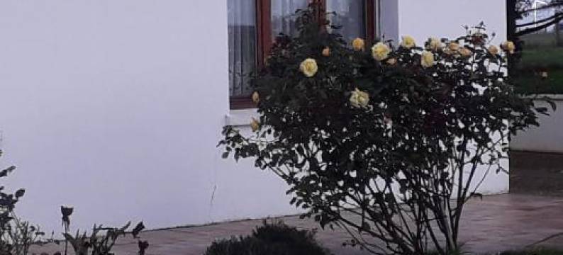 Studio du Gite图片