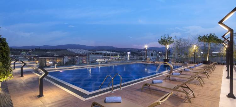 亚洛瓦希尔顿花园酒店(Hilton Garden Inn Yalova)图片