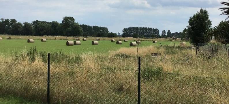 A view worth seeing to switch off图片