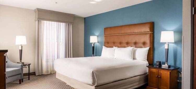 威奇托博文德鲁里广场酒店(Drury Plaza Hotel Broadview Wichita)图片