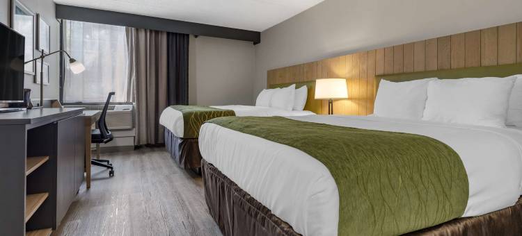 利物浦舒适酒店及套房-锡拉丘兹北(Comfort Inn & Suites Liverpool - Syracuse North)图片