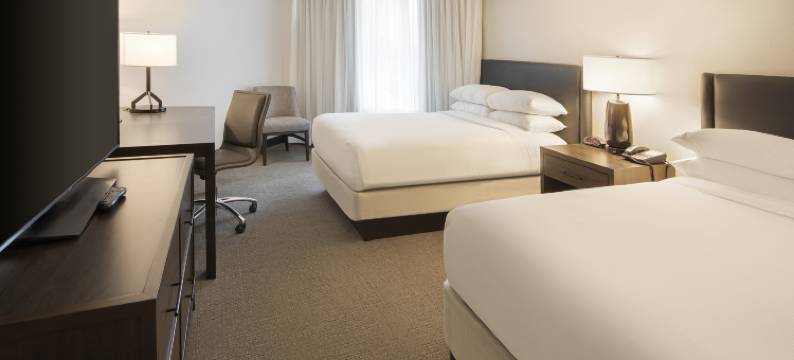 底特律特洛伊奥本山希尔顿大使套房酒店(Embassy Suites by Hilton Detroit Troy Auburn Hills)图片