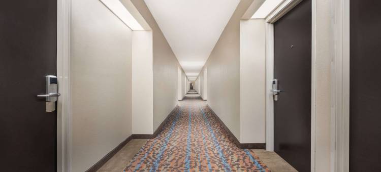 阿森斯I-65号舒眠酒店(Sleep Inn Athens I-65)图片